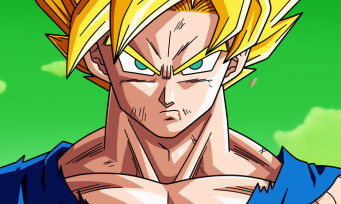 Dragon Ball Z Extreme Butoden : les images en 2D