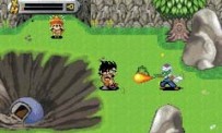 Dragon Ball Z : L'Héritage De Goku