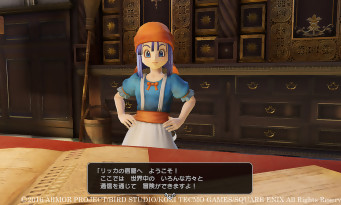 Dragon Quest Heroes 2