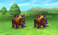 Dragon Quest IX : Les Sentinelles du Firmament