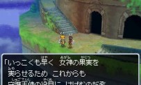 Dragon Quest IX : Les Sentinelles du Firmament