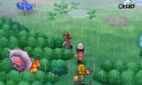 Dragon Quest IX : Les Sentinelles du Firmament