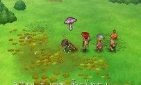 Dragon Quest IX : Les Sentinelles du Firmament