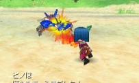 Dragon Quest IX : Les Sentinelles du Firmament