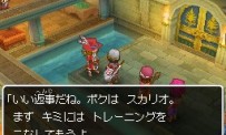 Dragon Quest IX : Les Sentinelles du Firmament