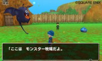 Dragon Quest Monsters Terry's Wonderland 3D