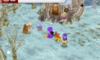 Dragon Quest V : Tenkuu no Hanayome