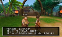 Dragon Quest X