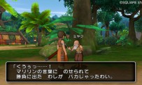 Dragon Quest X