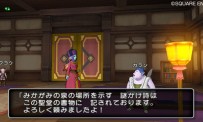 Dragon Quest X