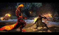 Dragon's Dogma Dark Arisen