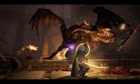 Dragon's Dogma Dark Arisen