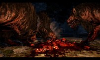 Dragon's Dogma Dark Arisen