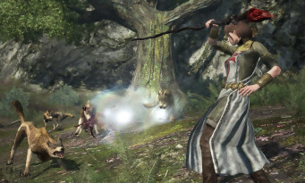 Dragon's Dogma Online