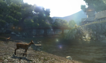 Dragon's Dogma Online