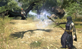 Dragon's Dogma Online