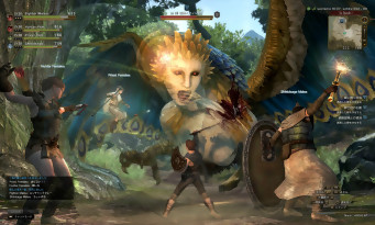 Dragon's Dogma Online