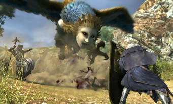 Dragon's Dogma Online