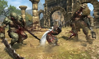 Dragon's Dogma Online