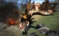 Dragon's Dogma