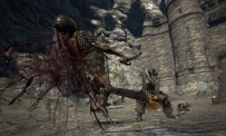 Dragon's Dogma