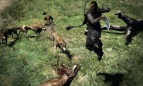 Dragon's Dogma