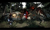 Dragon's Dogma