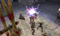 Dungeon Siege II