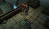 Dungeon Siege : Throne of Agony