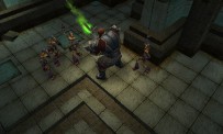 Dungeon Siege : Throne of Agony