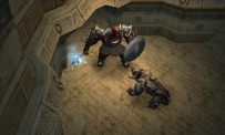 Dungeon Siege : Throne of Agony