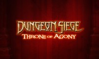 Dungeon Siege : Throne of Agony