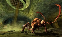 Dungeons & Dragons Online : Stormreach