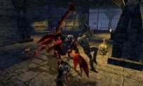 Dungeons & Dragons Online : Stormreach