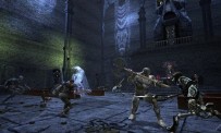 Dungeons & Dragons Online : Stormreach