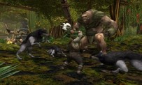 Dungeons & Dragons Online : Stormreach