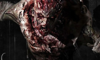 Dying Light The Following : un trailer introduit la difficulté "Nightmare"