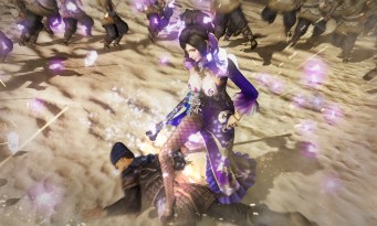 Dynasty Warriors 8