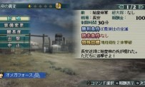 Dynasty Warriors : Strikeforce 2