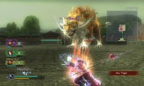 Dynasty Warriors : Strikeforce