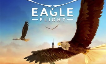 Eagle Flight