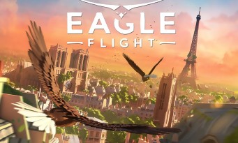 Eagle Flight