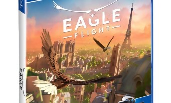 Eagle Flight