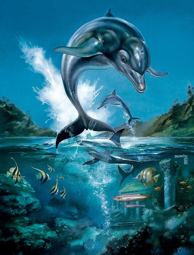 Ecco The Dolphin