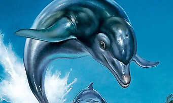 Ecco The Dolphin : SEGA sur le point de faire revenir la licence ? On a des indices solides...