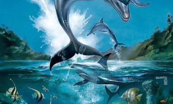 Ecco The Dolphin