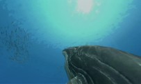 Endless Ocean 2 - E3 2009 trailer