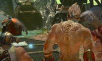 Enslaved : Odyssey to The West