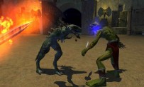 EverQuest II : Desert of Flames