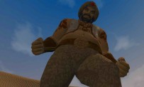 EverQuest II : Desert of Flames